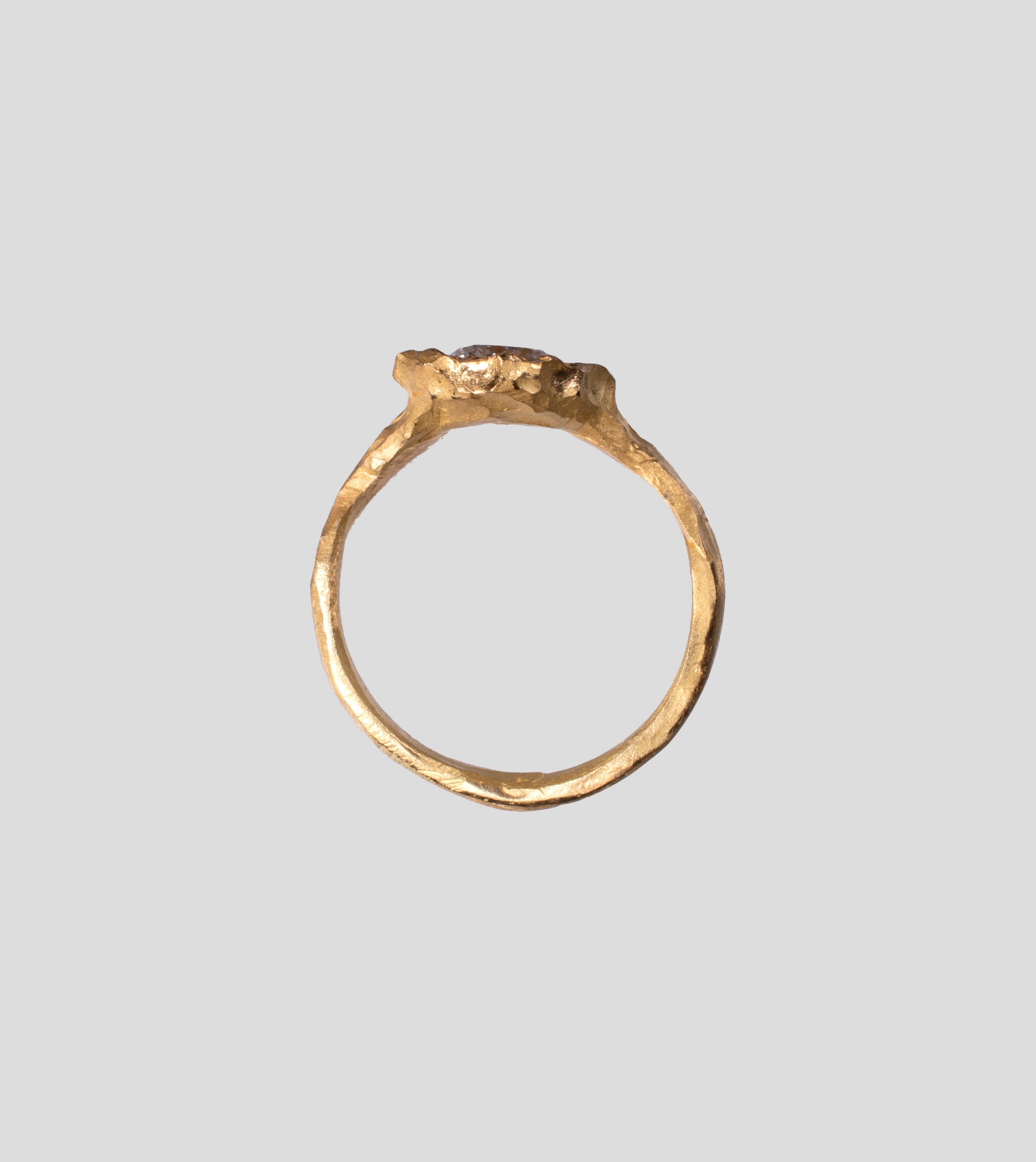 Aryeh Ring – OATES PILZ Aryeh Ring – OATES PILZ